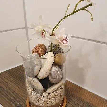 Apartman Nikolaikirch-hof *