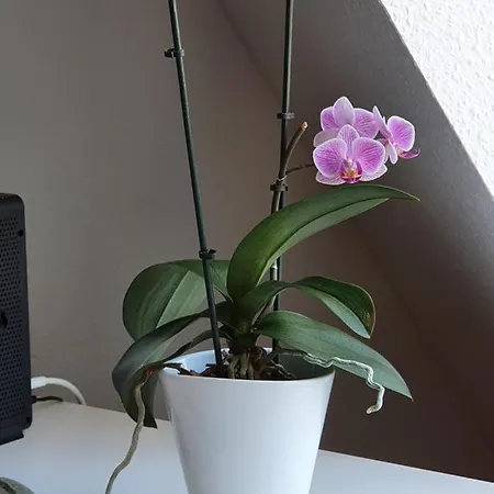 Apartamento Nikolaikirch-hof *